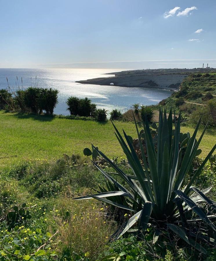The Roof Garden Maisonette Marsaskala Dış mekan fotoğraf